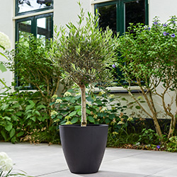 Image of Stewart 40cm Low Round Basalt Planter