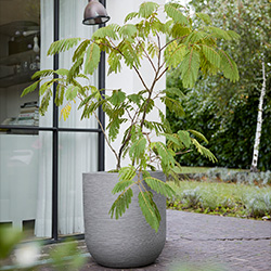 Image of Stewart Arava 56cm Garden Planter - Alpine Grey