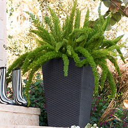 Image of Stewart Medium Rattan Planter