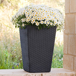 Image of Stewart Small Rattan Planter