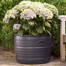 Image of Smithy Patio Tub - 50cm