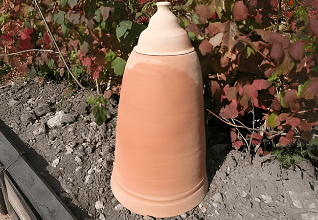 Image of 50cm Terracotta Rhubarb Forcer / Clay Cloche